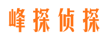 临洮私人调查